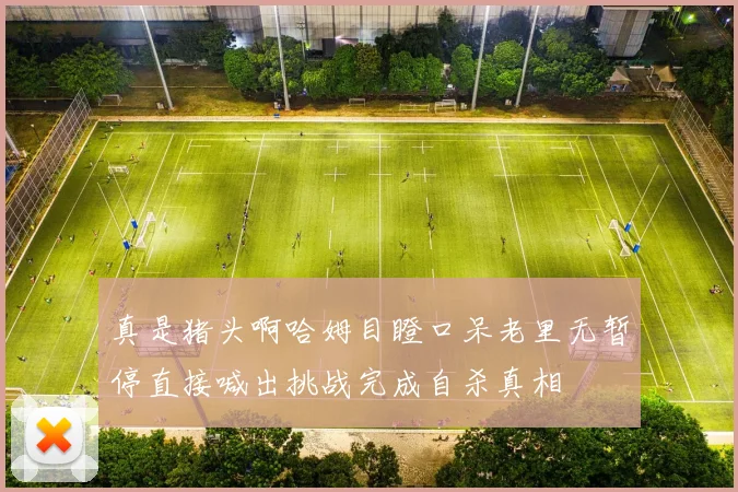 真是猪头啊哈姆目瞪口呆老里无暂停直接喊出挑战完成自杀真相